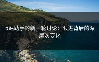 p站助手的新一轮讨论：跟进背后的深层次变化