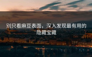 别只看麻豆表面，深入发现最有用的隐藏宝藏