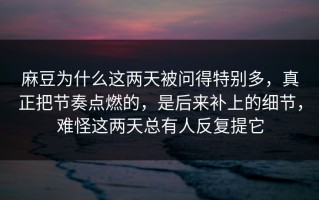 麻豆为什么这两天被问得特别多，真正把节奏点燃的，是后来补上的细节，难怪这两天总有人反复提它