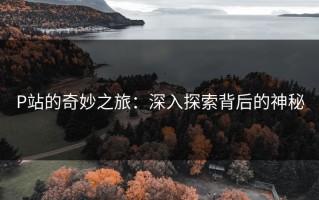 P站的奇妙之旅：深入探索背后的神秘