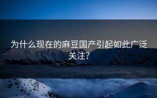 为什么现在的麻豆国产引起如此广泛关注？