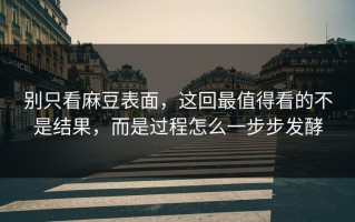 别只看麻豆表面，这回最值得看的不是结果，而是过程怎么一步步发酵