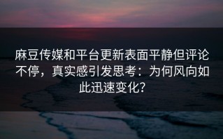 麻豆传媒和平台更新表面平静但评论不停，真实感引发思考：为何风向如此迅速变化？