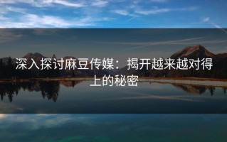 深入探讨麻豆传媒：揭开越来越对得上的秘密