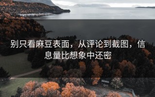 别只看麻豆表面，从评论到截图，信息量比想象中还密