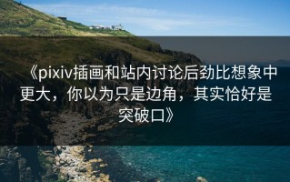 《pixiv插画和站内讨论后劲比想象中更大，你以为只是边角，其实恰好是突破口》