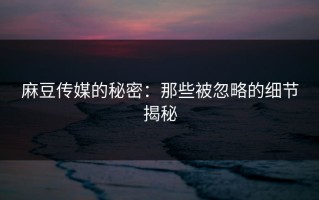 麻豆传媒的秘密：那些被忽略的细节揭秘