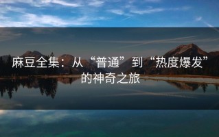 麻豆全集：从“普通”到“热度爆发”的神奇之旅