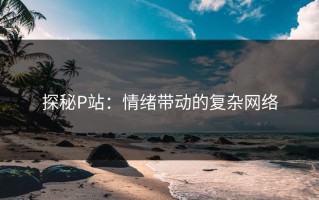 探秘P站：情绪带动的复杂网络