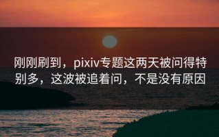 刚刚刷到，pixiv专题这两天被问得特别多，这波被追着问，不是没有原因