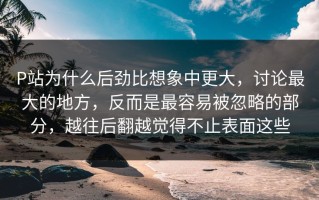 P站为什么后劲比想象中更大，讨论最大的地方，反而是最容易被忽略的部分，越往后翻越觉得不止表面这些