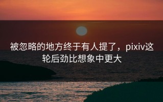 被忽略的地方终于有人提了，pixiv这轮后劲比想象中更大