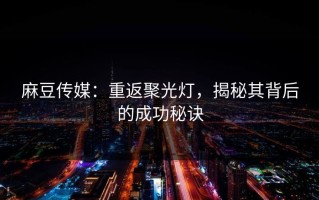 麻豆传媒：重返聚光灯，揭秘其背后的成功秘诀