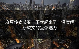 麻豆传媒节奏一下就起来了，深度解析软文的复杂魅力