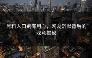 黑料入口别有用心，网友沉默背后的深意揭秘