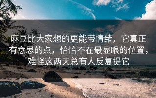 麻豆比大家想的更能带情绪，它真正有意思的点，恰恰不在最显眼的位置，难怪这两天总有人反复提它