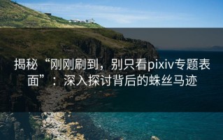 揭秘“刚刚刷到，别只看pixiv专题表面”：深入探讨背后的蛛丝马迹