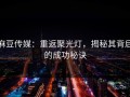 麻豆传媒：重返聚光灯，揭秘其背后的成功秘诀